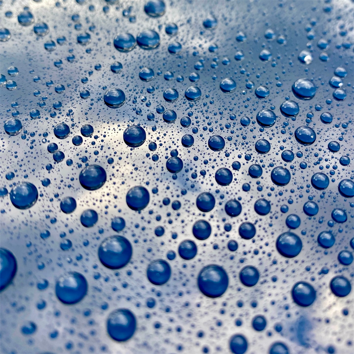 Show Wax - 100ml - DAMOWAX LTD